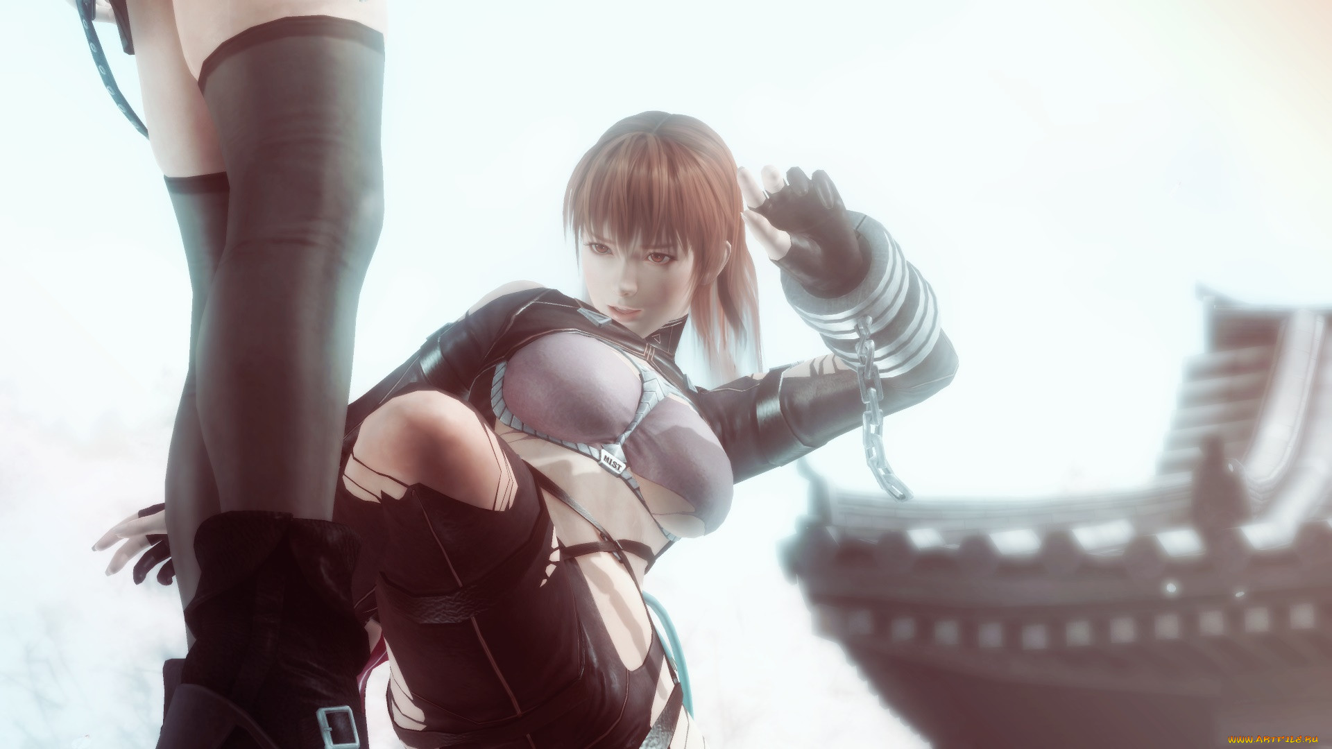 dead or alive 5,  , , , , 